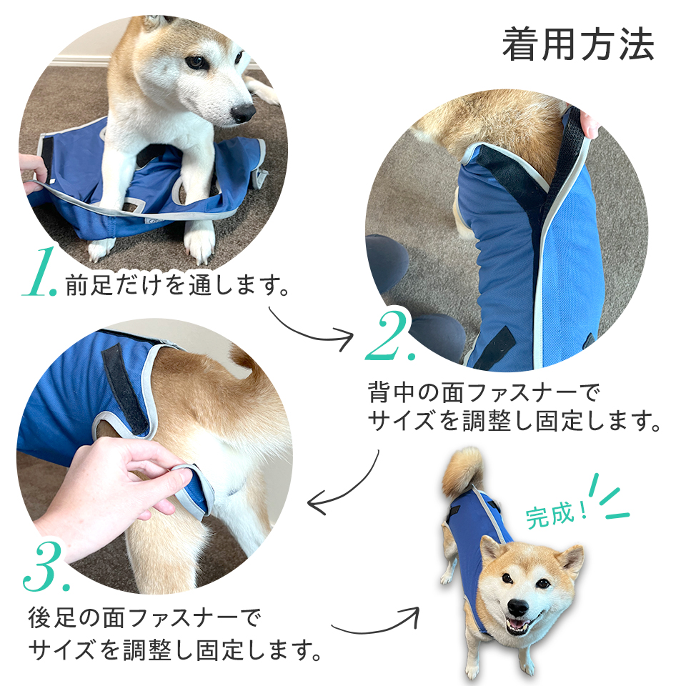 スケーター ペット用 術後服 犬 男の子用 5号 ネイビー 大阪公立大学と
