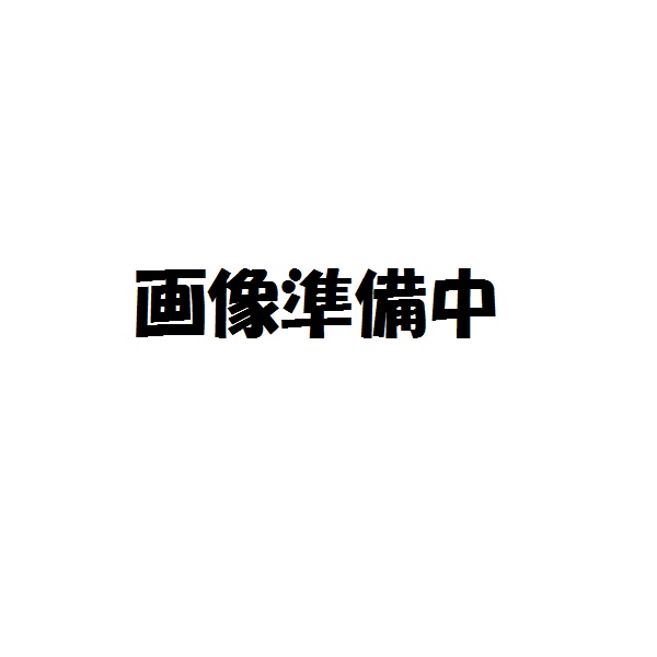 子供 傘 50cm 晴雨兼用 手開き 5歳 6歳 7歳 8歳 小学校 小学生 通学 おしゃれ かわいい スケーター ubsr2 ディノサウルス 恐竜 ダイナソー 男の子 男子｜skater-koshiki｜02