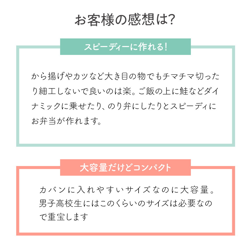 抗菌 食洗機 対応 ふわっと 弁当箱 保冷 ランチバッグ 付き 830ml  レトロフレンチカラー ブラック 銀イオン お弁当箱 弁当 一段 1段ランチボックス | スケーター | 09