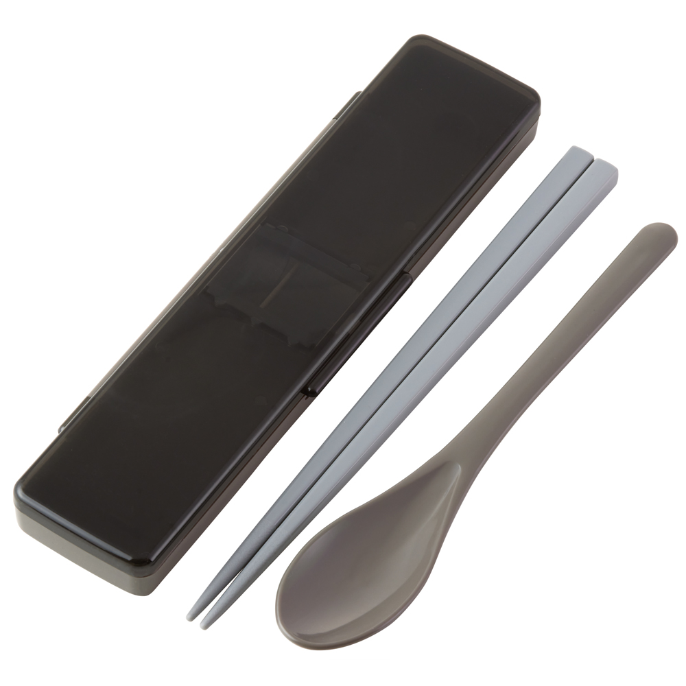 スケーター 箸 スプーン セット 抗菌 大人 食洗機対応 箸箱 お弁当