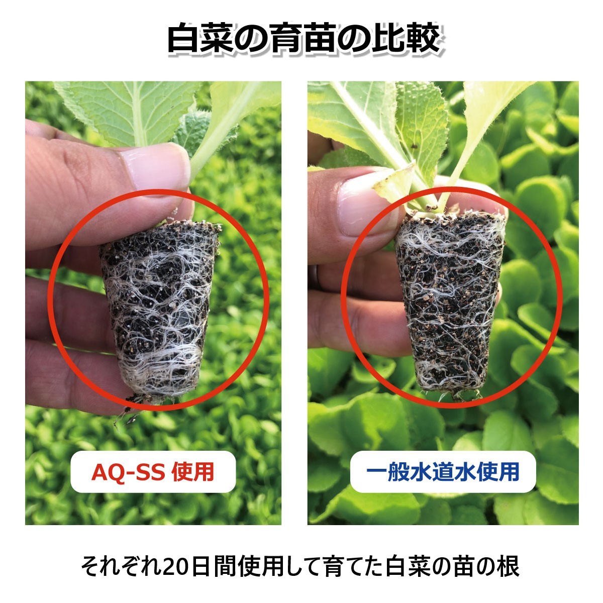 植物育成 促進 散水ノズル ウルトラファインバブル発生器 アクアビュル AQ-SS 農業 ガーデニング カチッと簡単取り付け ファインバブル発生器  屋外 家庭用 洗車 : aq-ss : AQUA BULLE アクアビュルヤフー店 - 通販 - Yahoo!ショッピング