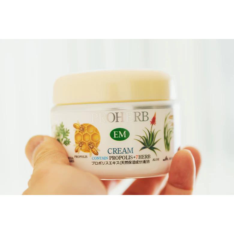 PROHERB プロハーブ EMクリームII 保湿クリーム 140gx6個セット : Plus