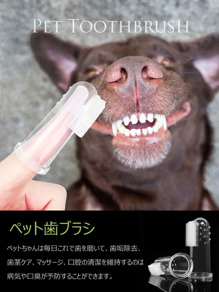 ペット 歯ブラシ 歯磨き 犬 猫 ペット用 指サック 歯ブラシ デンタル