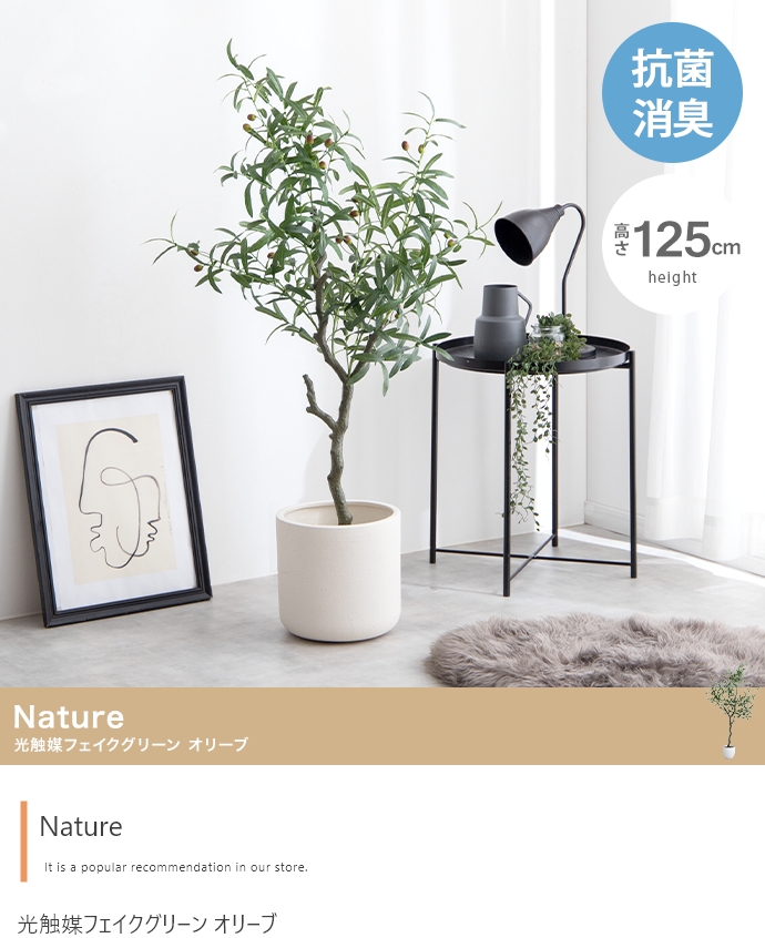 フェイクグリーン リアル 光触媒 人工観葉植物 室内 風水 フェイクグリーン リアル 光触媒 人工観葉植物 室内 風水
