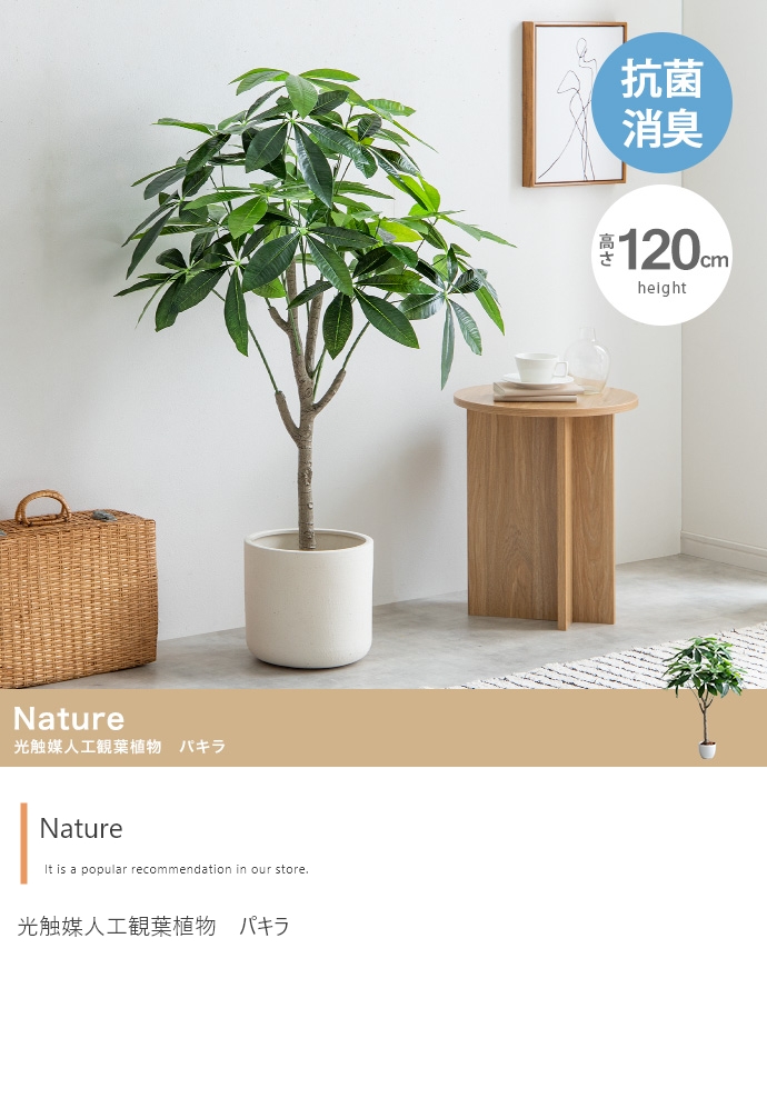 フェイクグリーン リアル 光触媒 人工観葉植物 室内 風水 インテリア