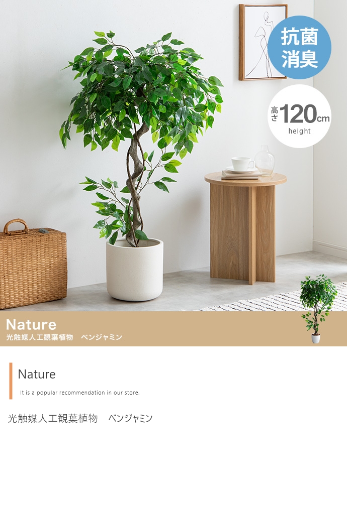 光触媒　人工観葉植物　ウォールグリーン　フェイクグリーン　ベンジャミン115 b16c1f6d2b62ca1b121d9ecefc4a6c