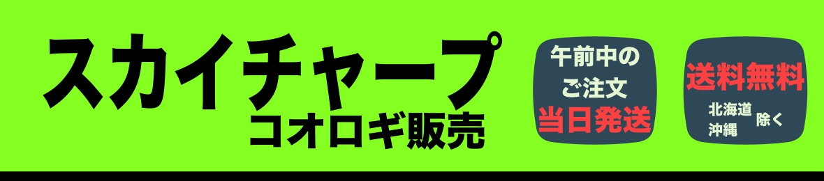 スカイチャープ ヘッダー画像