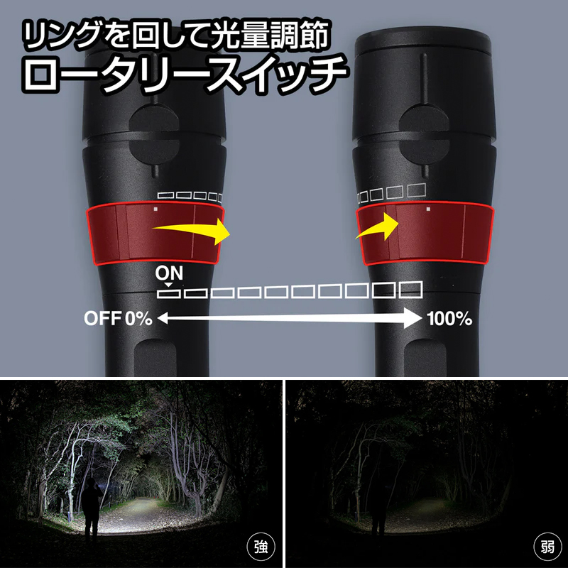 Gシリーズ GF-216RG GENTOS ジェントス LEDフラッシュライト 1250