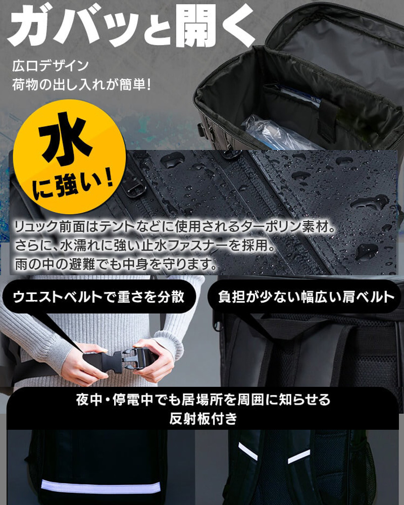 非常用持ち出しセット エアーベッド付 アイリスオーヤマ 31点 BS1-31２点 IRIS OHYAMA（アイリスオーヤマ） BS1-31 防災士監修 防災リュック 31