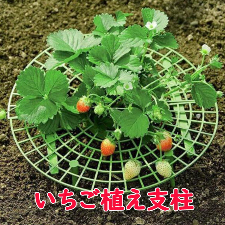 いちご植え支柱 2個セット 園芸支柱 野菜スタンド 誘引作業 白カビ