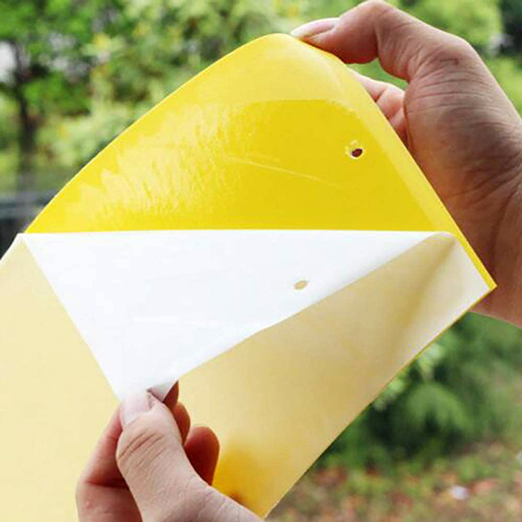 捕虫シート イエロー10枚セット 10×20cm 粘着力 両面タイプ 薬品 捕虫シート イエロー10枚セット 10×20cm 粘着力 両面タイプ 薬品