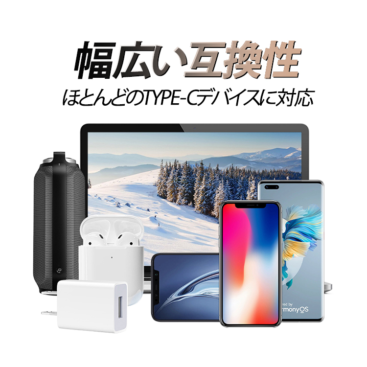 Type C→USB-A変換アダプタ Cオス to USB-A 超小型 USB2.0 充電 データ