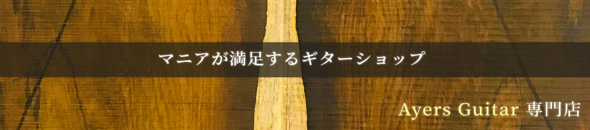 マニアが満足するギターショップ ヘッダー画像