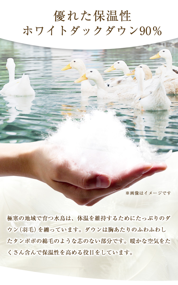 羽毛布団 西川 送料無料 シングルロング 150×210cm ホワイト