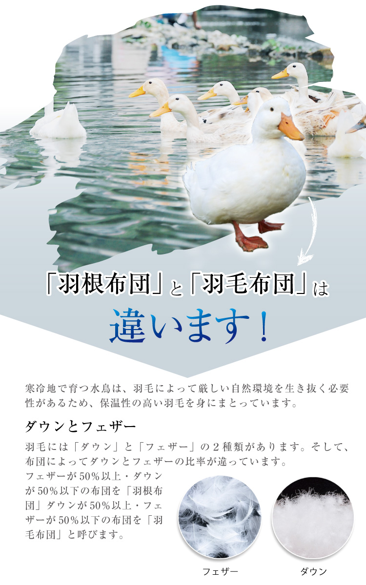 掛け布団 羽根布団 2枚合わせ 送料無料 セミダブルロング 170×210cm