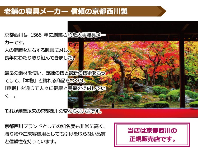 京都西川シルク毛布（SGR-N25002) シングル 140×200cm 日本製 ベージュ