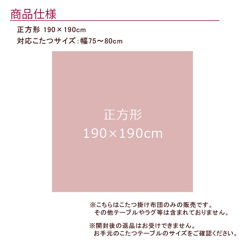 こたつ布団 正方形 190×190cm 【TSUMUGI つむぎ】 こたつ掛け布団と