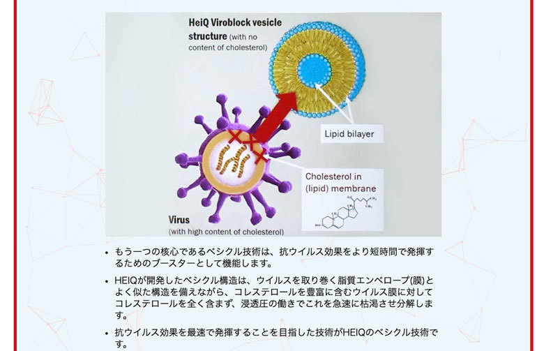 マニフレックス ハイキュ ヴィロブロック トッパータイプ セミダブル オーバーレイ 敷きパッド 抗ウィルス 抗菌 ウィルス対策 高反発 - 0
