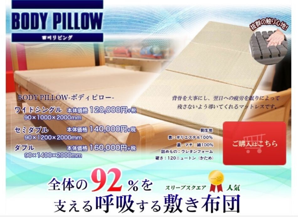 西川（nishikawa） 東京西川 マットレス 高反発マットレス BodyPillow