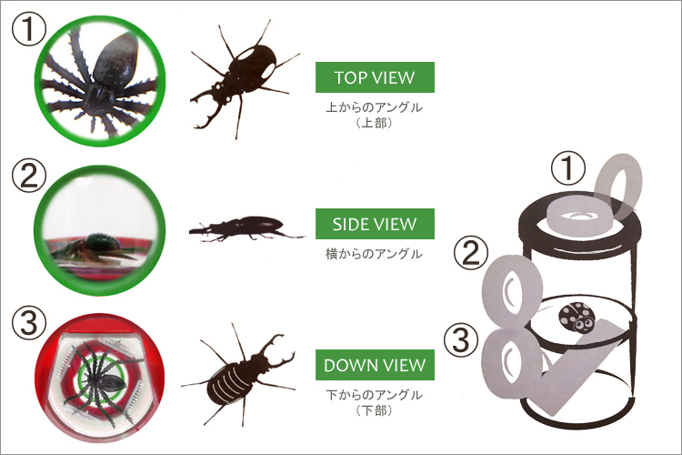 昆虫観察レンズおもちゃ