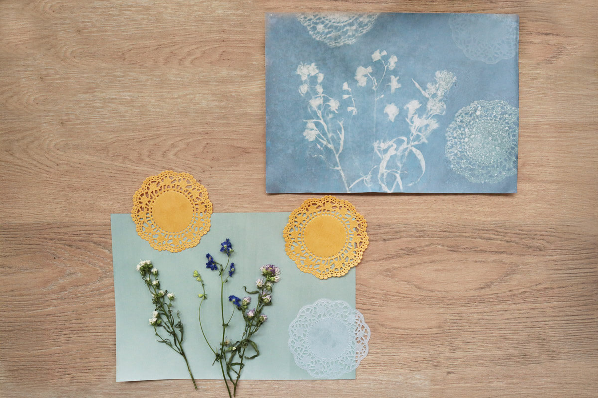 日光写真 キット 感光紙 サンプリントペーパー アート 科学 自由研究