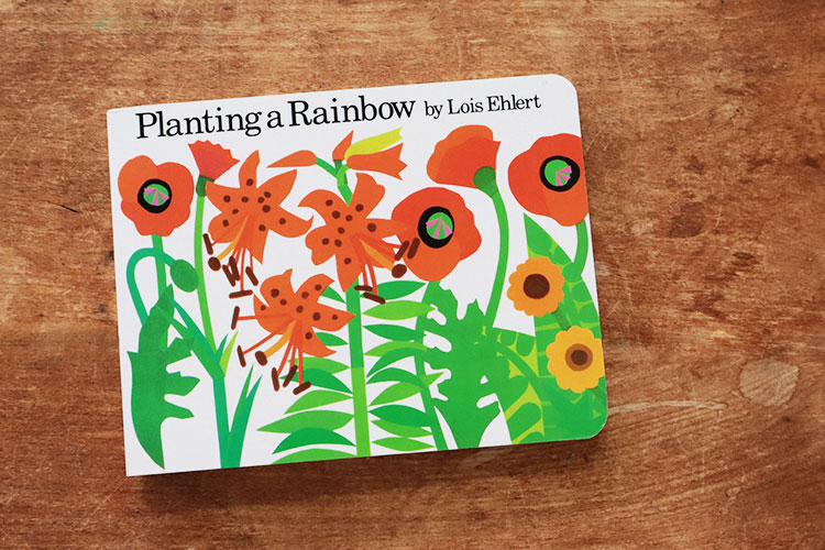 絵本 Planting A Rainbow にじいろのはなさかせよう ロイス