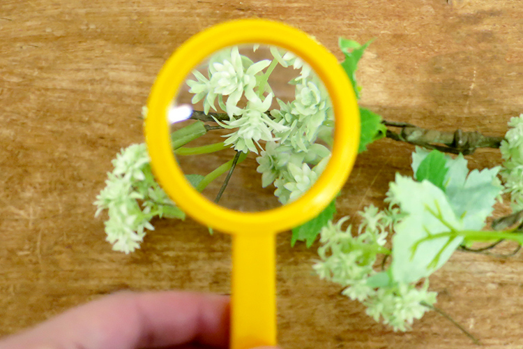 虫眼鏡 子供用 昆虫観察 虫めがね ルーペ おもちゃ 自由研究 夏休み キャンプ 観察 イタリア Navir ナヴィア 虫眼鏡おもちゃ メール便対象品 Slow Works 通販 Yahoo ショッピング