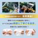 Type-C to Type-Cケーブル USB-A Type-C iPhone Lightning Micro PD100W 長さ0.5m/1m/1.5m/2m/3m iPhone17/16e充電ケーブル iPad 【PL保険加入済み製品・安心】 関連画像2