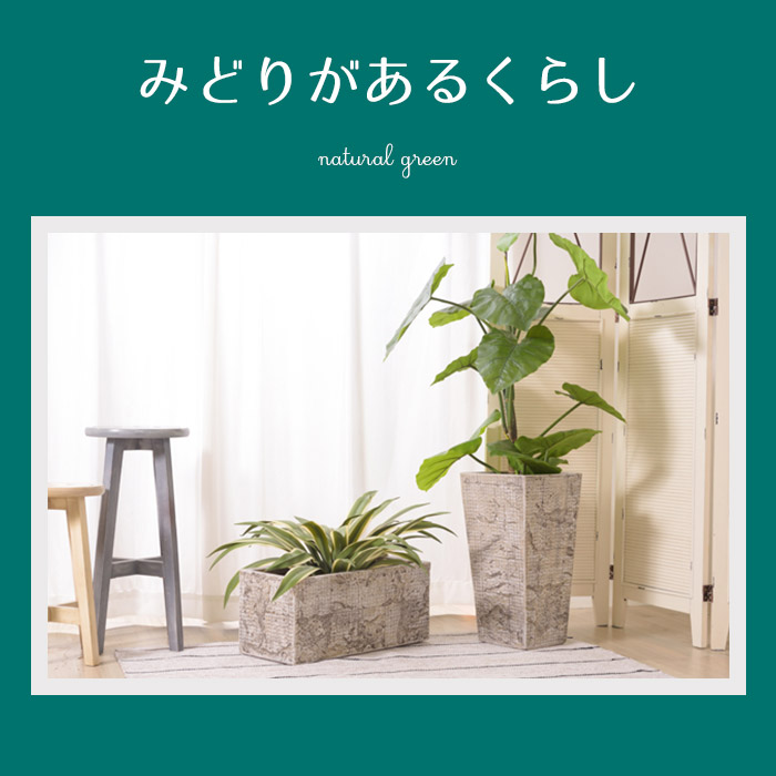 人工観葉 クワズイモ 大型 フェイクグリーン 大きい 造花 観葉植物