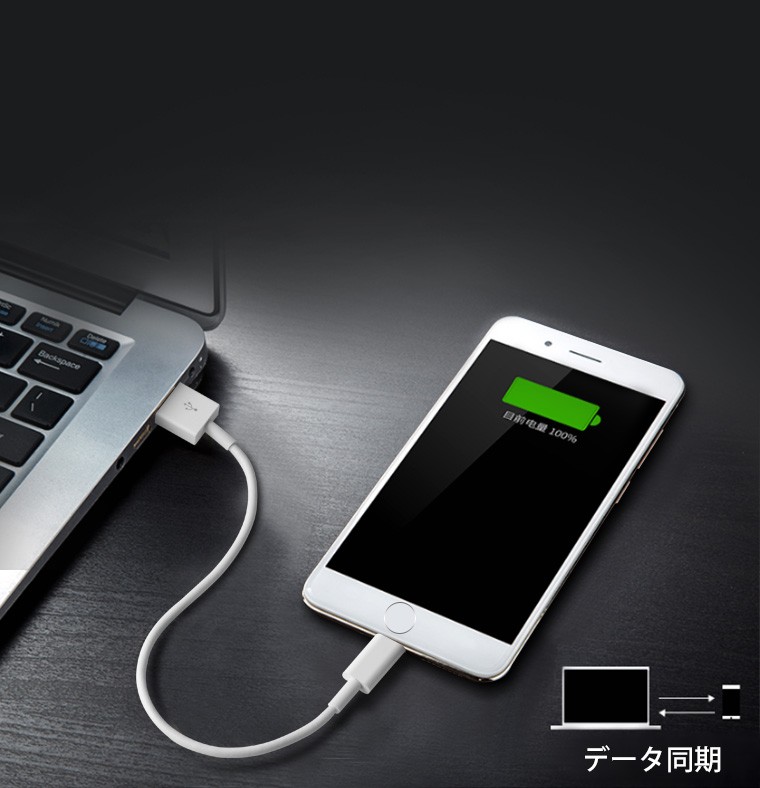 Apple iPhone 14 Pro 本体 充電ケーブル付き LivelyLife 2本セット iPhone USB 充電ケーブル iPhone14