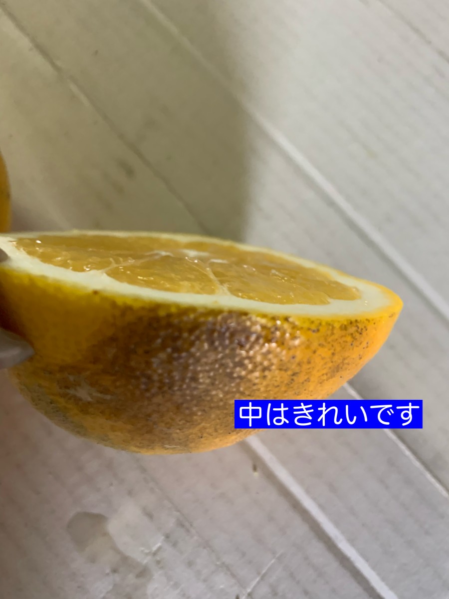 見た目が悪いんです!!河内晩柑8キロ 超訳あり・ご家庭用