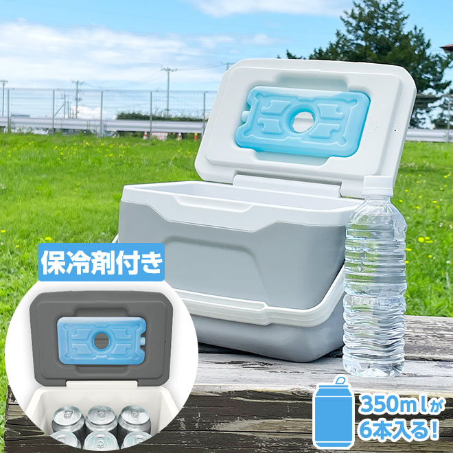 保冷剤付き クーラーボックス 小型 4.8L 軽量 クーラーBOX 保冷