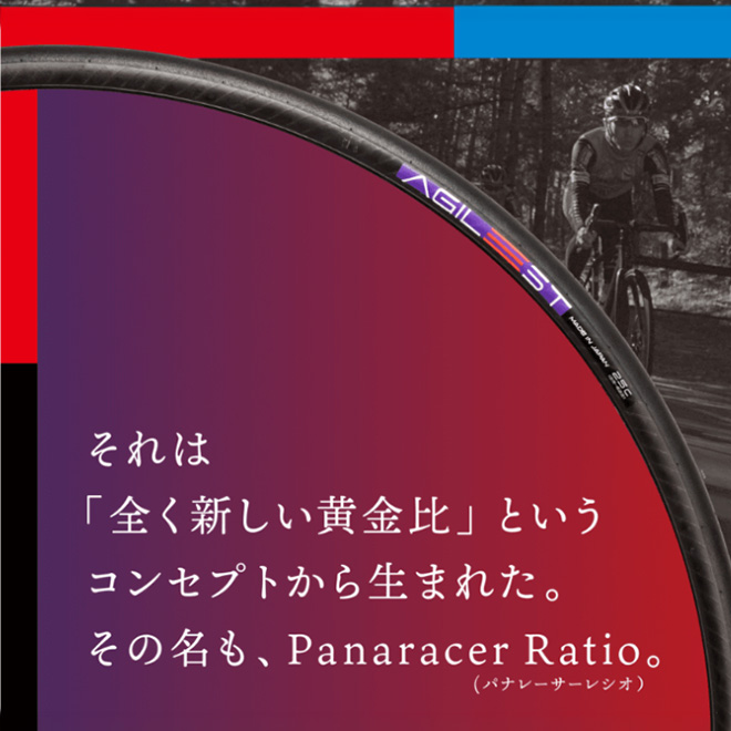Panaracer（パナレーサー） 自転車 タイヤ チューブ 各1本セット アジ