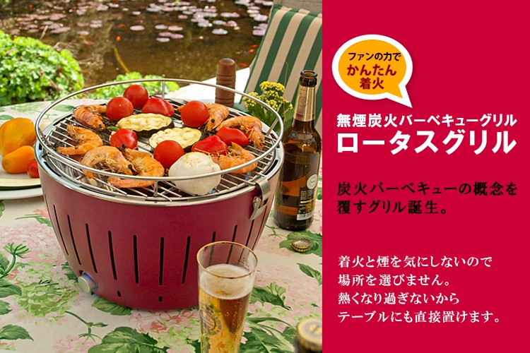 ロータスグリル専用炭 ミックス木炭 5kg（2．5kg×2箱セット） （s11）（ZK） :S10003701:SmartKitchen - 通販 -  Yahoo!ショッピング