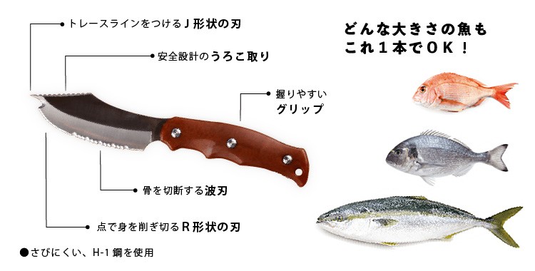 SAKAKNIFE サカナイフ＋専用シャープナーセット（NY）