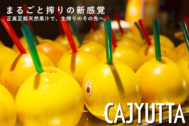 CAJYUTTA 果汁搾り機 カジュッタ CJT3-04 ジューサー まるごと 生搾り 