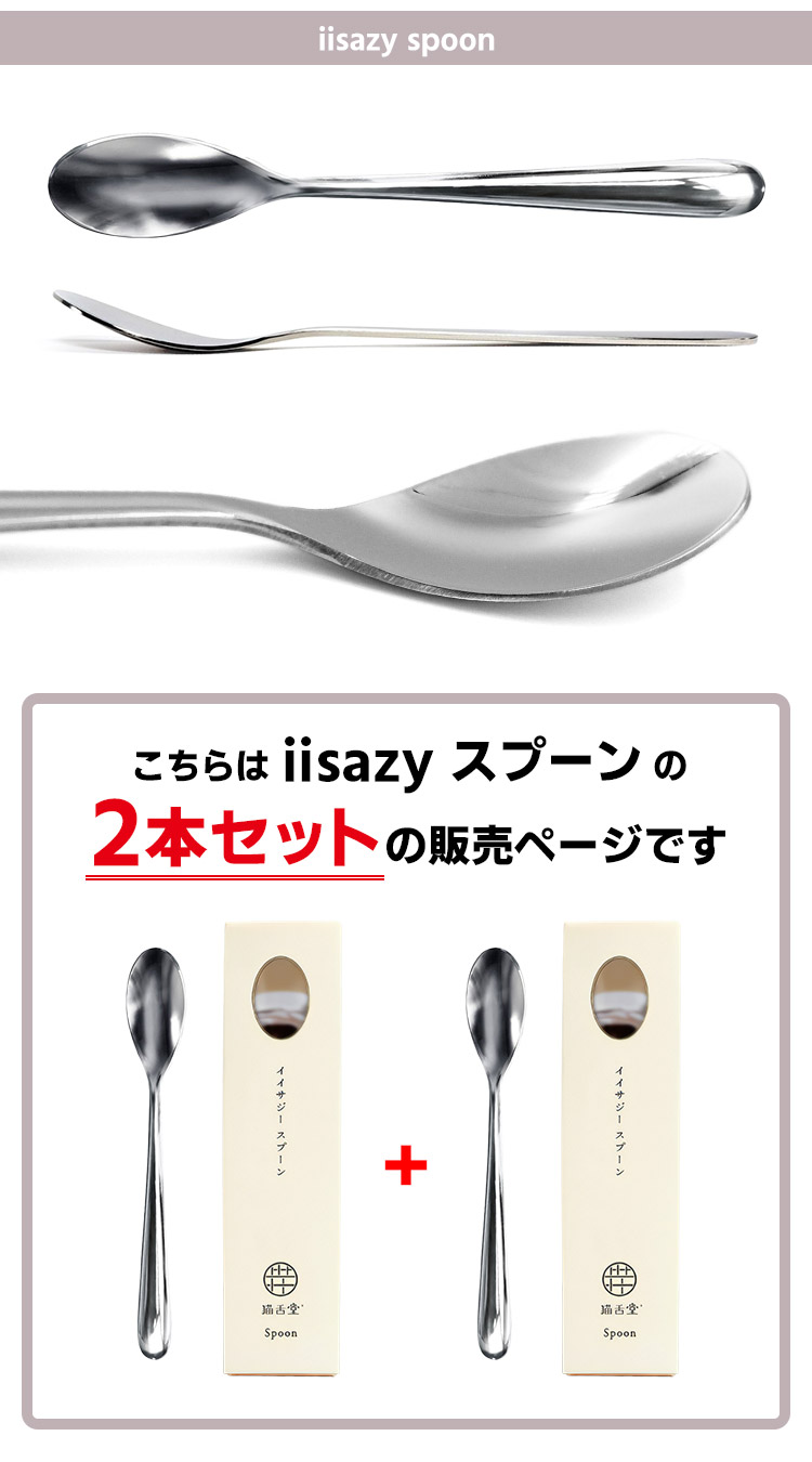 iisazy スプーン 2本セット （ユニバーサルデザイン 燕三条 日本製