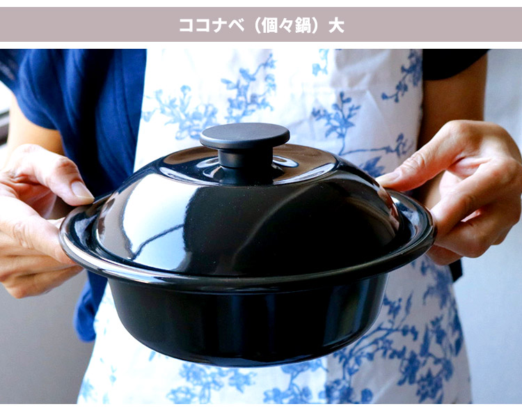 野田琺瑯 ココナベ せいろセット 大 21cm せいろ2段 （0.98L ガス・IH
