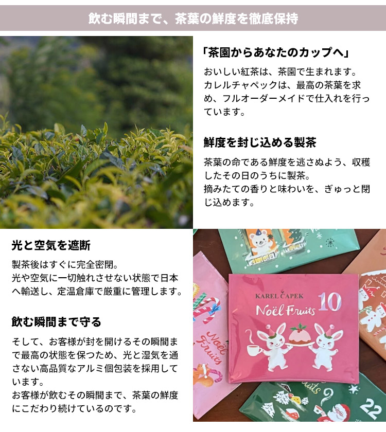 カレルチャペック（Karel Capek） クリスマスアドベント缶 25P ティー
