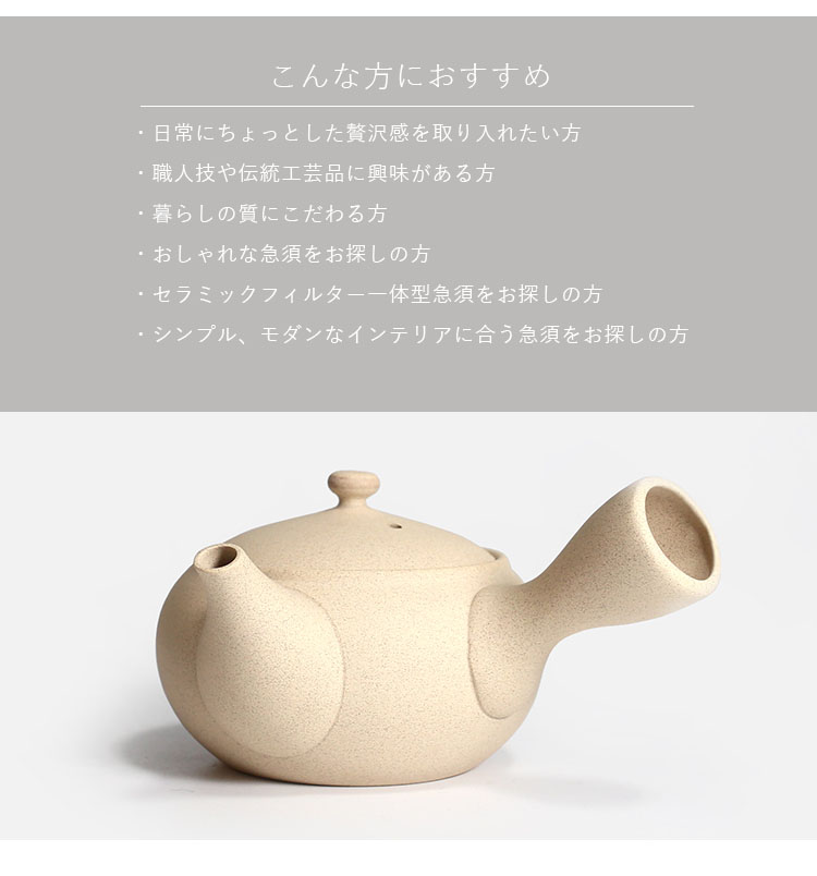 常滑焼 急須 IROIRO 06 （250ml 陶器 茶器 日本製 人水 JINSUI