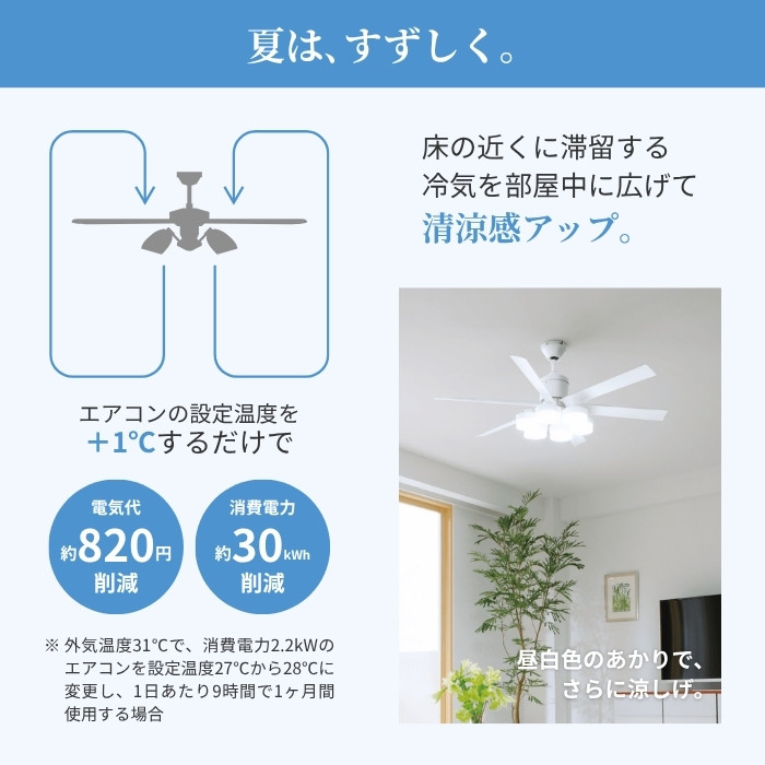 magnet_178225608800.jpg