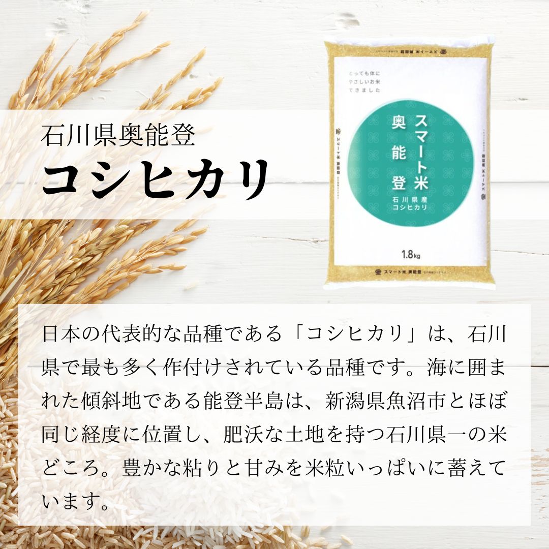 スマート米 玄米 無洗米 10kg (5kg×2袋) 令和6年産 石川県奥能登