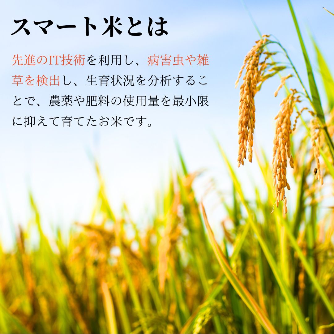 スマート米 青森県産 まっしぐら 精米   節減対象農薬50%以下    5.0kg (令和5年産)｜smartagrifoods｜02