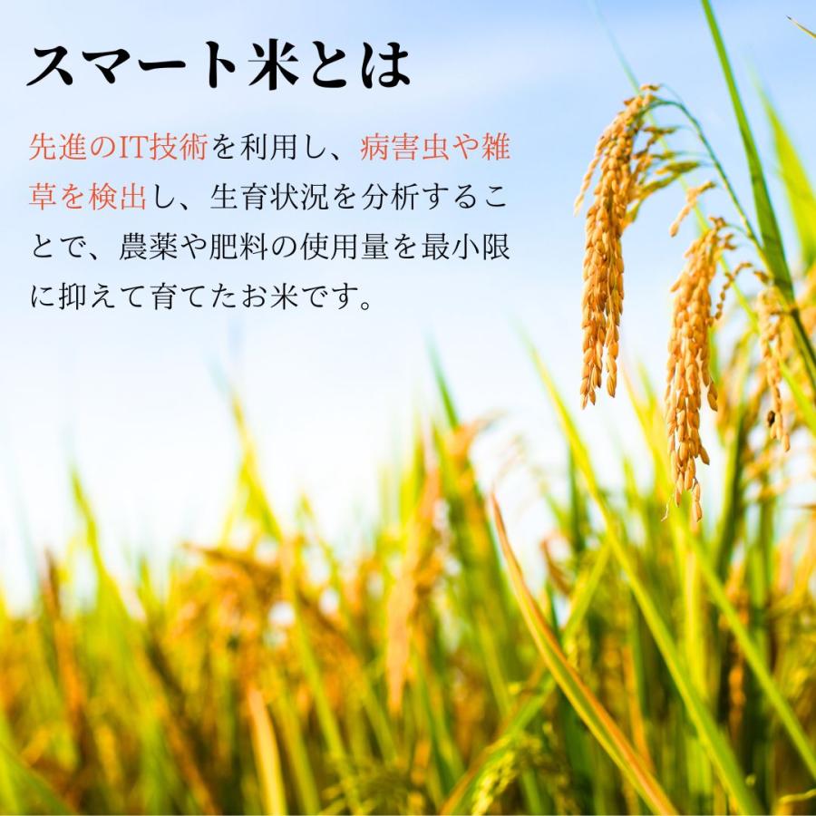 スマート米 青森県産 つがるロマン 無洗米玄米   節減対象農薬50%以下    2.0kg (令和5年産)｜smartagrifoods｜02