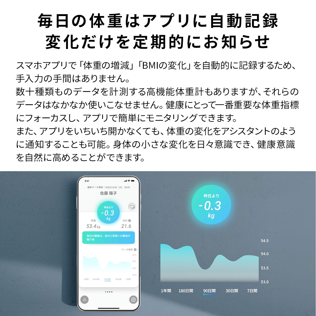 公式 スマートバスマット issin 取り替え用ソフト珪藻土マット 体重計