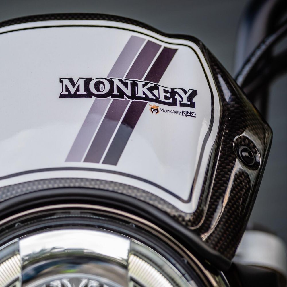 Monkey125