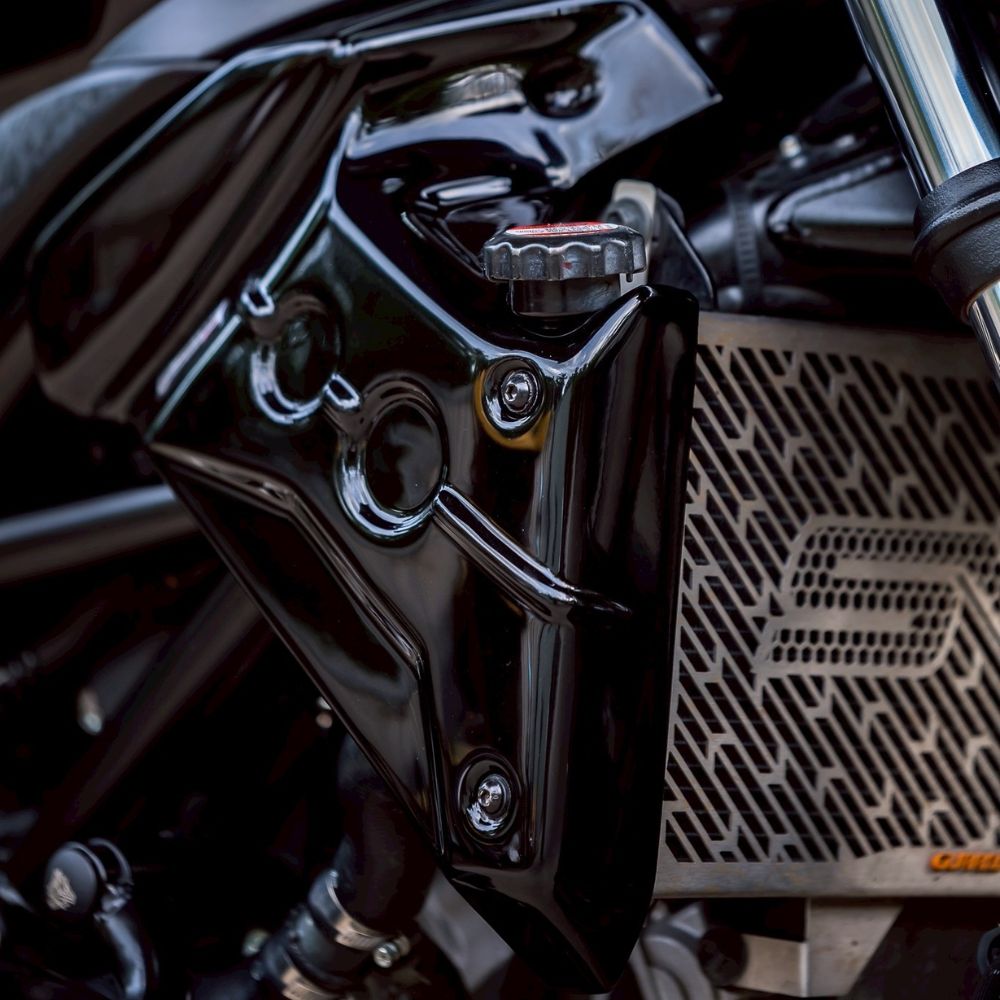 SV650 ラジエーターサイドパネル Webike | Puig プーチ ラジエーターサイドパネル SV650 (1999)(8564J