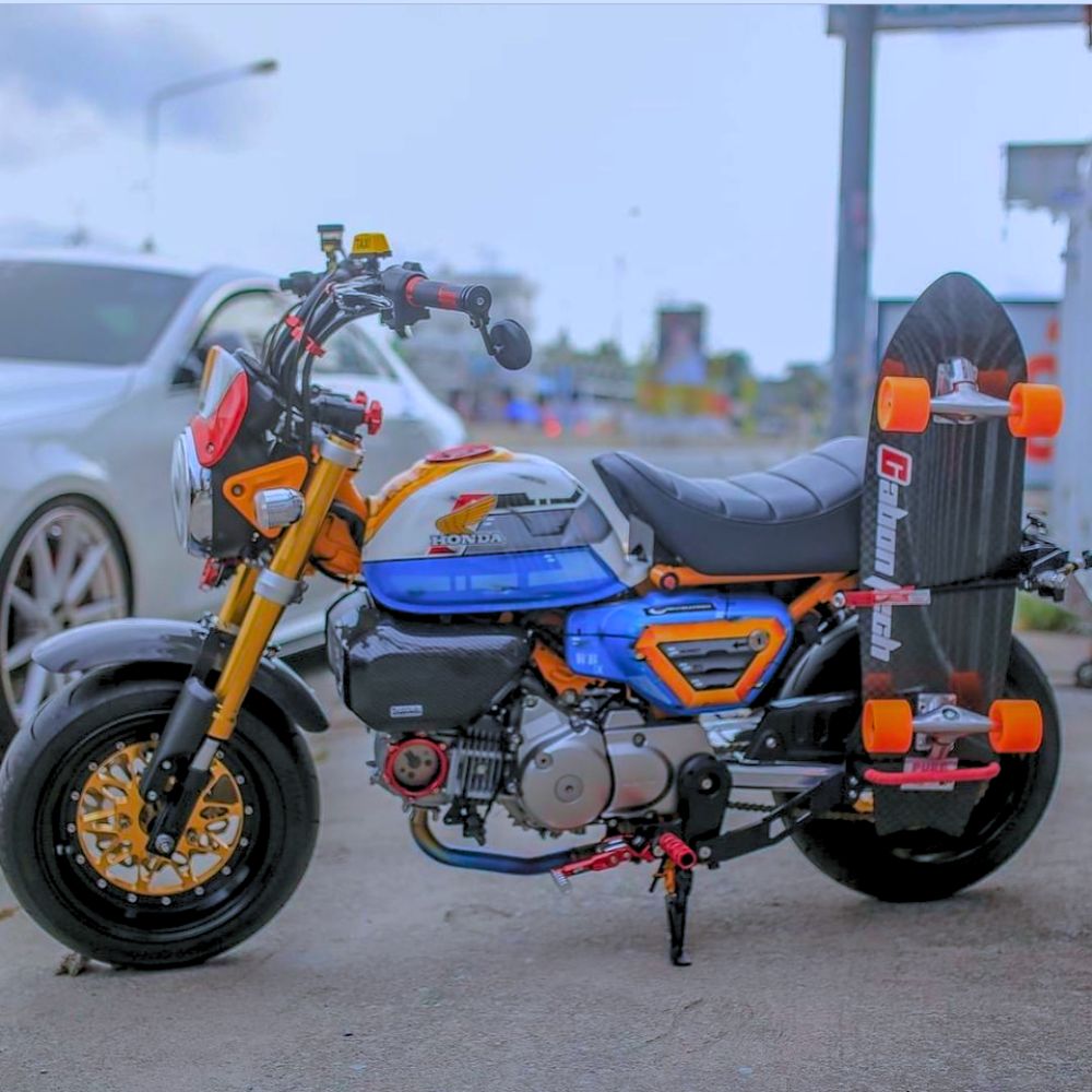 Monkey125