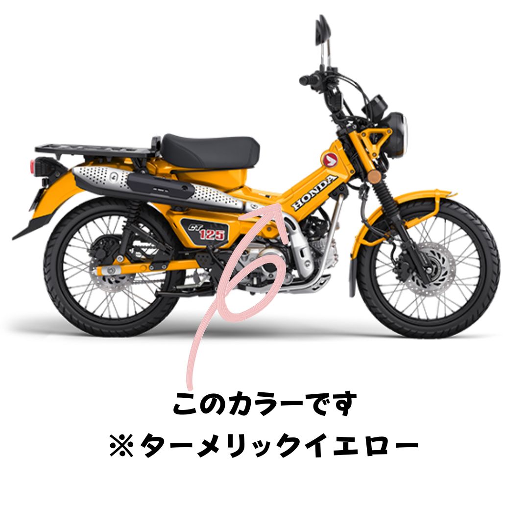 バイク用タッチアップペイント タッチペン20ml ホンダ ターメリック