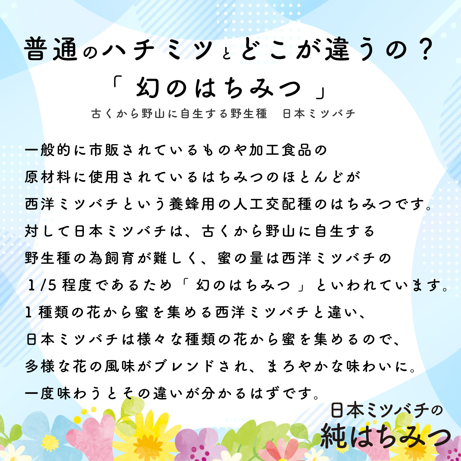 国産はちみつ 日本ミツバチから抽出した様々な花の蜜 百花蜜 非加熱 幻のはちみつ 日本ミツバチの純はちみつ 100ｇ : food03 :  元綺屋(ゲンキヤ)SMC - 通販 - Yahoo!ショッピング